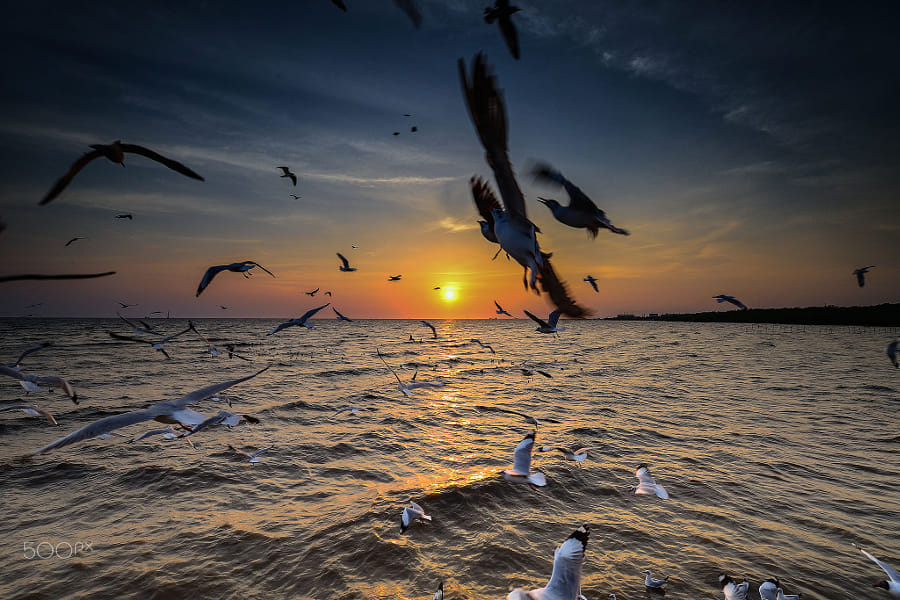 呢喃燕子语梁间，底事来惊梦里闲