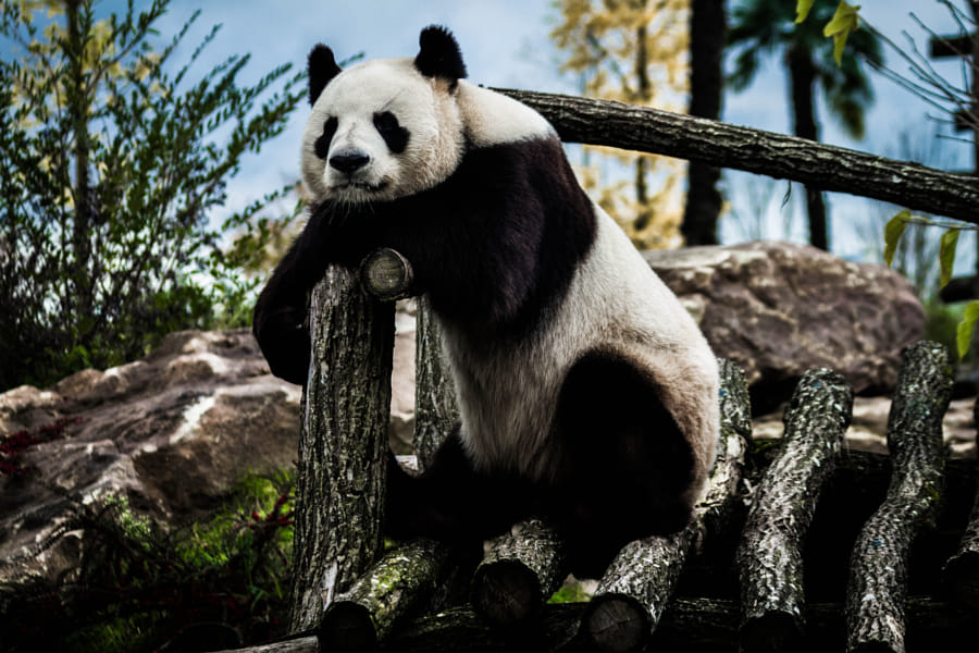 山重水复疑无路，柳暗花明又一村