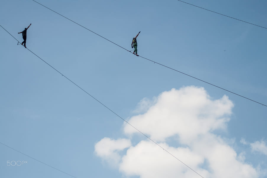 迟日江山丽，春风花草香